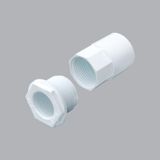 Khớp nối răng 25mm A258-25 MPE