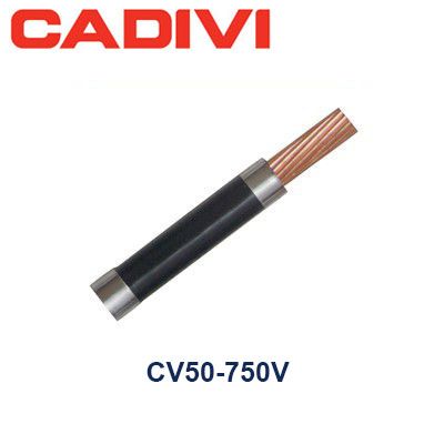 Dây Điện Đơn CV50 CADIVI