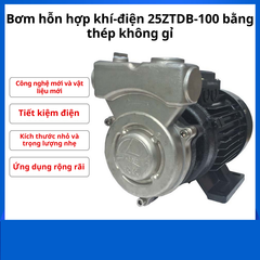 Bơm hỗn hợp khí-điện 25ZTDB-100 bằng thép không gỉ