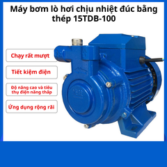 Máy bơm lò hơi chịu nhiệt đúc bằng thép 15TDB-100 dùng cho gia đình và tăng áp