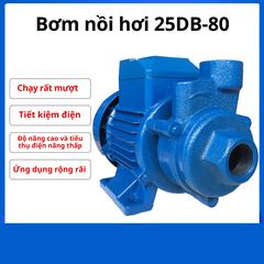 Bơm 25DB-80 cung cấp nước cho máy phát hơi nhỏ, bơm tăng áp nước sạch