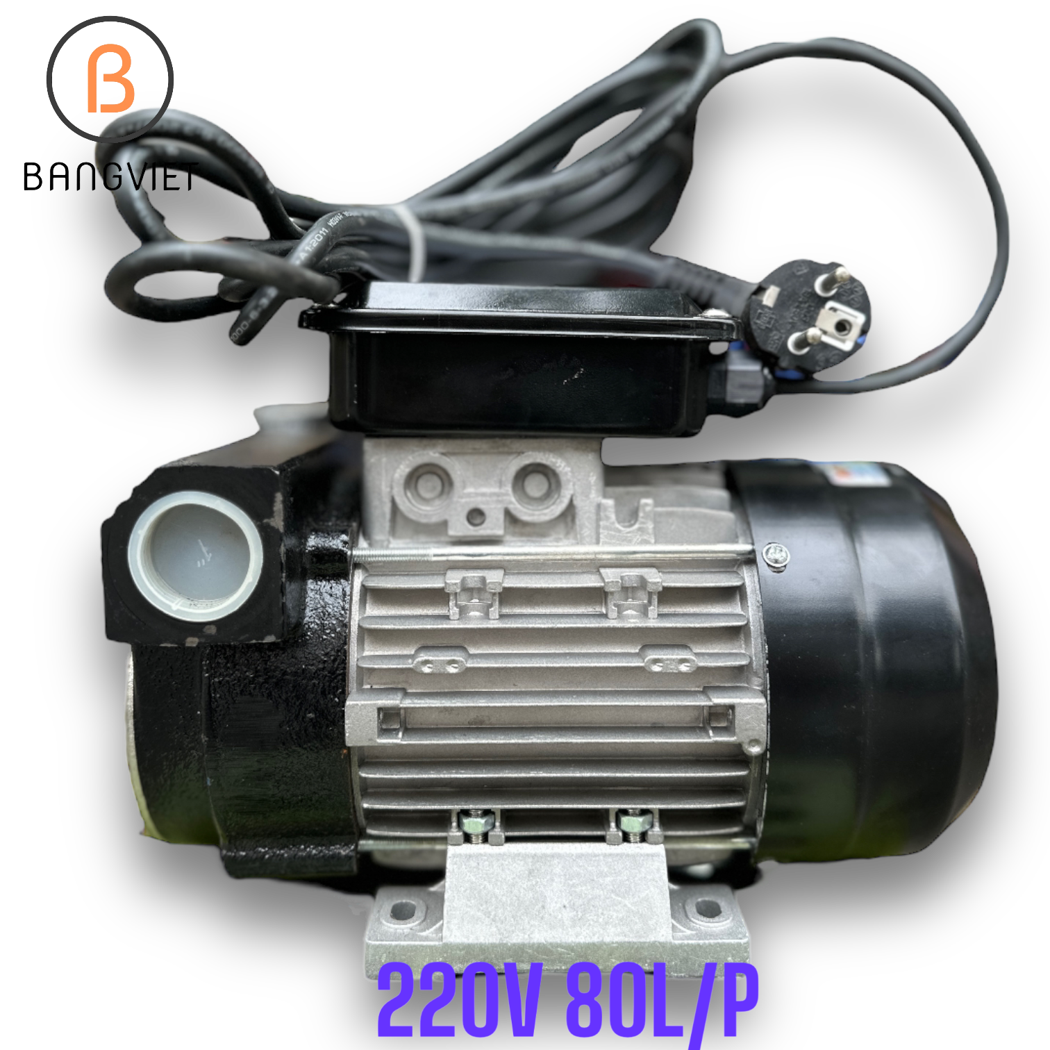 Bơm dầu Diesel 80L/P 220V CH80AC – Thiết bị Bằng Việt