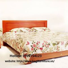 GIƯỜNG 1M6 HN9 (vạt thanh)