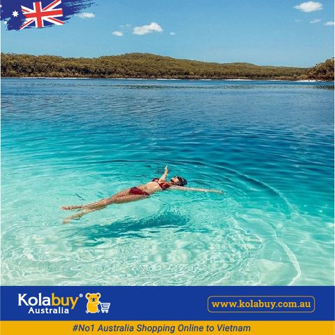 Tour Queensland - Vẻ Đẹp Hoang Dã Nơi Đảo Fraser