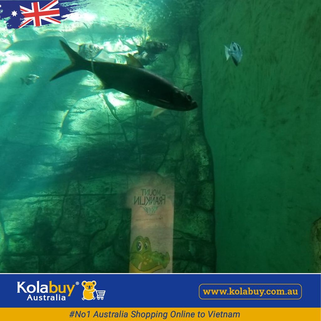 Tour Darwin - Công viên Crocosaurus Cove