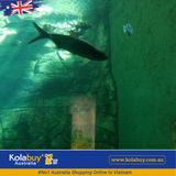 Tour Darwin - Công viên Crocosaurus Cove