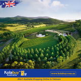 Tour Victoria - Thung lũng Yarra và Dãy Dandenong