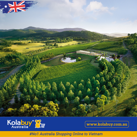 Tour Victoria - Thung lũng Yarra và Dãy Dandenong