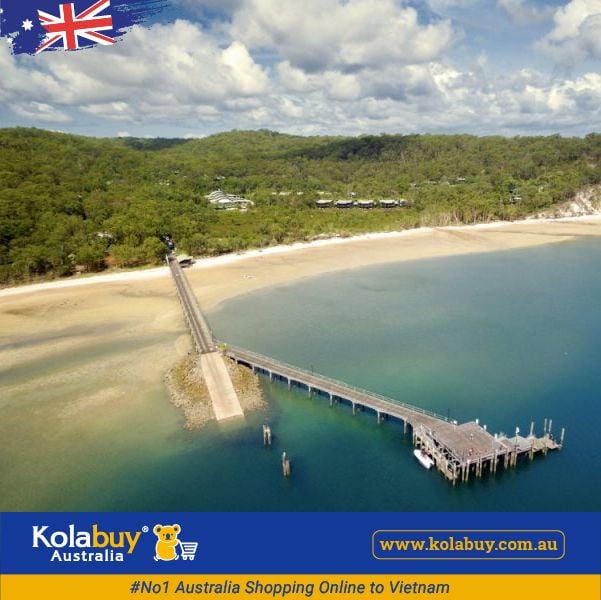 Tour Queensland - Vẻ Đẹp Hoang Dã Nơi Đảo Fraser