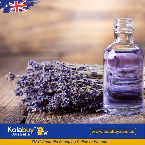 Tour Victoria - Cánh đồng Hoa oải hương Lavender Farm