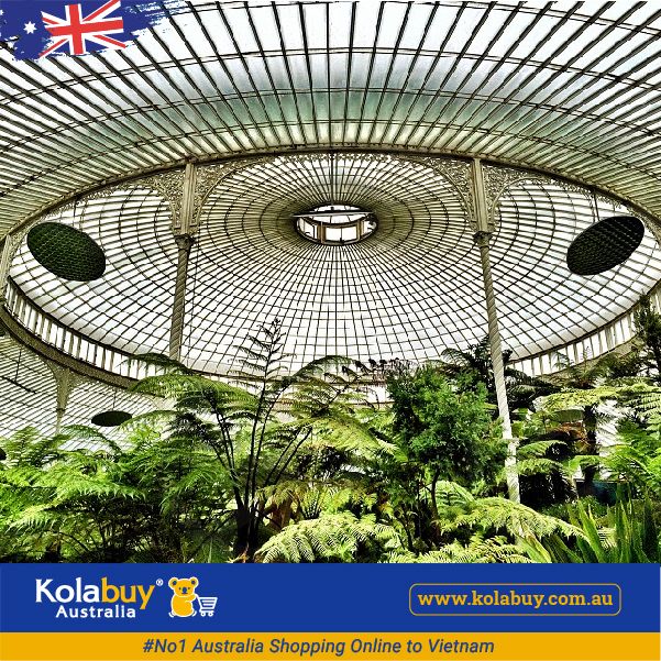 Tour Victoria - Khu Vườn Bách Thảo Hoàng Gia Royal Botanic Garden