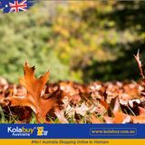 Tour Victoria - Mùa thu trên con đường Macedon Road