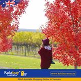 Tour Victoria - Thung lũng Yarra và Dãy Dandenong