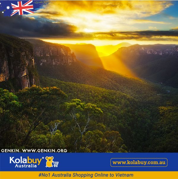 Tour New South Wales - Núi non Xanh Hùng vĩ Blue Mountain