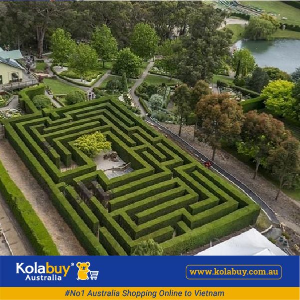 Tour Victoria - Khu Vườn Bách Thảo Hoàng Gia Royal Botanic Garden