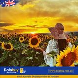 Tour Victoria - Cánh đồng Hoa hướng dương Sunflower Field