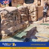 Tour Darwin - Công viên Crocosaurus Cove