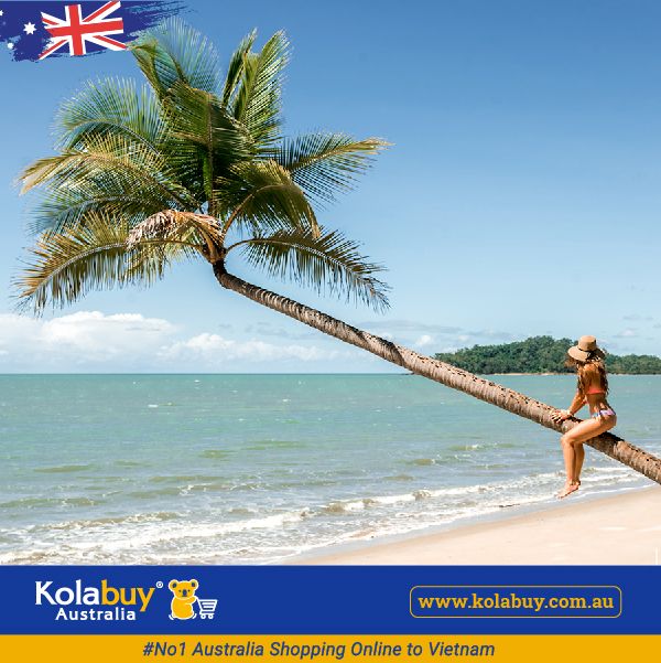 Tour Queensland - Bãi Biển Palm Cove