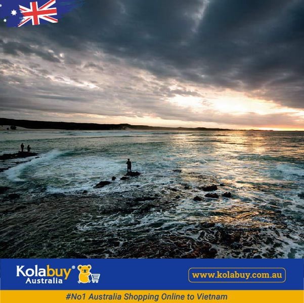 Tour Queensland - Vẻ Đẹp Hoang Dã Nơi Đảo Fraser