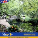 Tour Victoria - Thung lũng Yarra và Dãy Dandenong