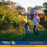 Tour Western Australia - Thung lũng Thiên Nga Swan Valley Western Australia