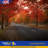 Tour Victoria - Mùa thu trên con đường Macedon Road