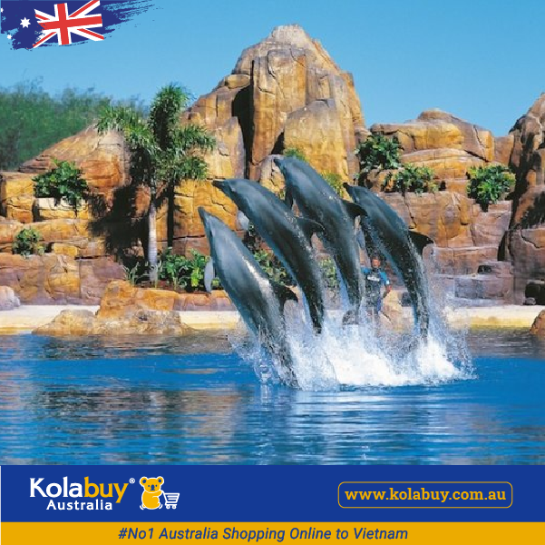 Tour Queensland - Thành phố Gold Coast