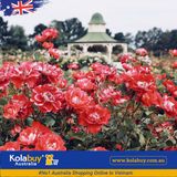 Tour Victoria - Công Viên Hoa Hồng Rose State Victoria