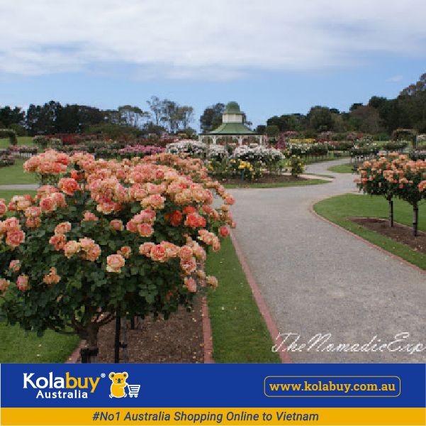 Tour Victoria - Công Viên Hoa Hồng Rose State Victoria
