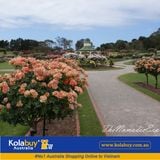 Tour Victoria - Công Viên Hoa Hồng Rose State Victoria