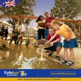 Tour Victoria - Du lịch Úc Mỏ Vàng Ballarat