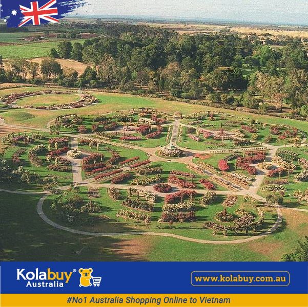 Tour Victoria - Công Viên Hoa Hồng Rose State Victoria