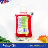 Nước Rửa Tay diệt khuẩn Dettol Liquid Hand Wash Raspberry 250ml