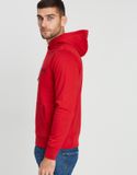 Tommy Logo Hoodie