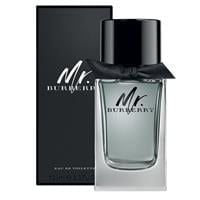 Burberry Mr Burberry 100ml Eau De Toilette Spray