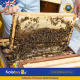 Sữa ong chúa tươi tự nhiên Natural Life Úc Fresh Royal Jelly 1 kg