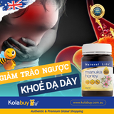 Mật ong thiên nhiên Manuka Honey Natural Life Úc (MGO 550/15+) 500g