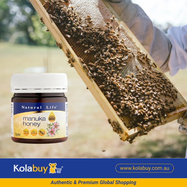 Mật ong thiên nhiên Manuka Honey Natural Life Úc (MGO 800/20+) 250g