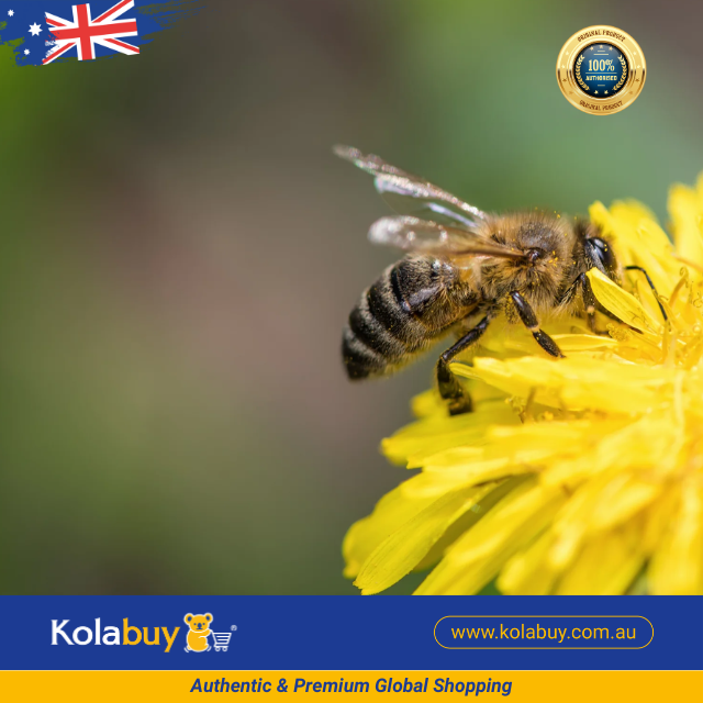 Sữa ong chúa tươi tự nhiên Natural Life Úc Fresh Royal Jelly 250g