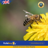 Sữa ong chúa tươi tự nhiên Natural Life Úc Fresh Royal Jelly 250g