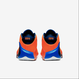 ZOOM FREAK 1 BASKETBALL SHOE