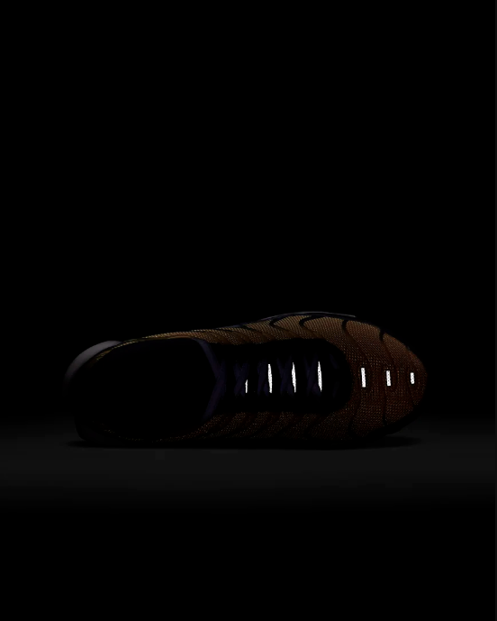 Older Kids' Shoe Nike Air Max Plus RF