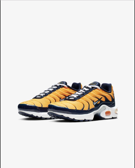 Older Kids' Shoe Nike Air Max Plus RF