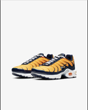 Older Kids' Shoe Nike Air Max Plus RF