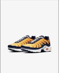 nike air max plus rf