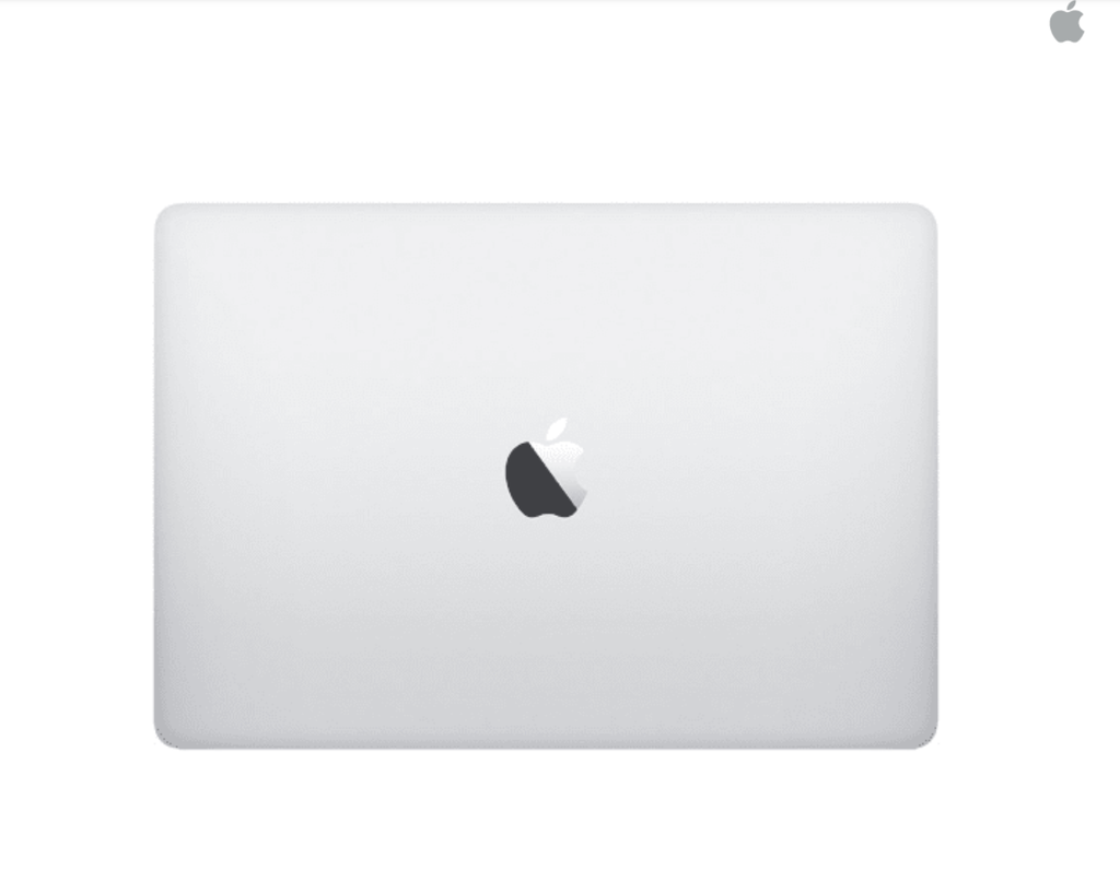 Apple 13