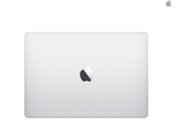 Apple 13