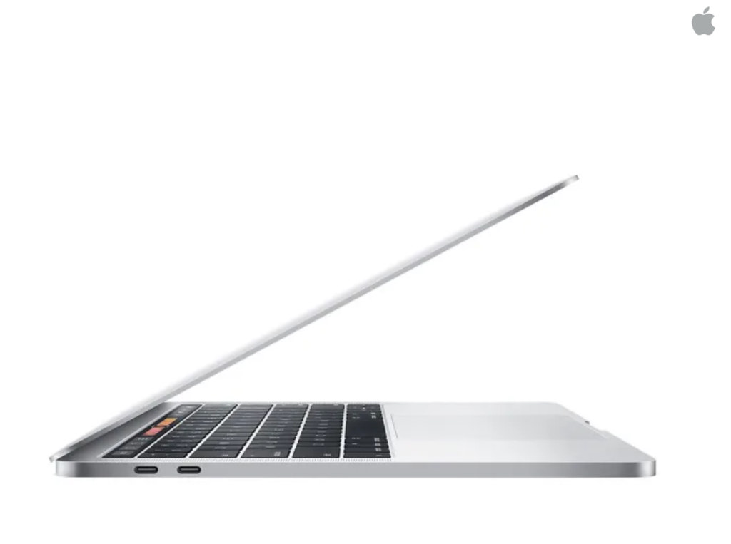 Apple 13