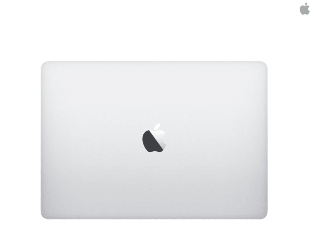 Apple 13