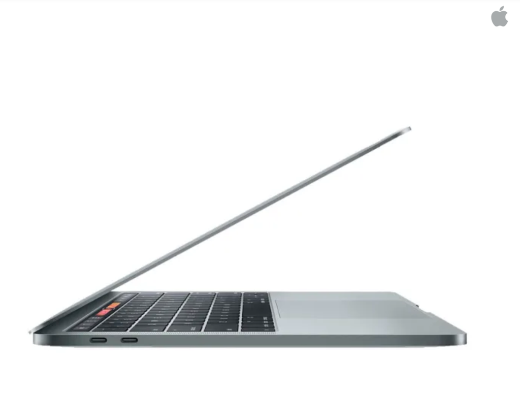 Apple 13